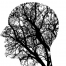 Neuronavarra.com - Peritacion caso de ictus