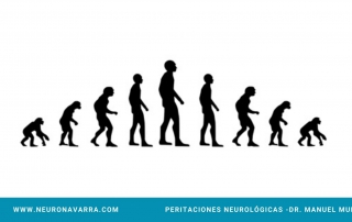 Neuronavarra-Peritaciones Manuel Murie-CURSO EVOLUTIVO DE LA ENFERMEDAD.