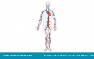 Neuronavarra Peritaciones Manuel Murie DISECCIÓN CAROTIDEA