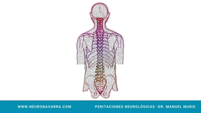 Neuronavarra Peritaciones Manuel Murie DOLOR LUMBAR; RADICULOPATÍA CRÓNICA