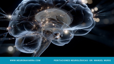 Neuronavarra Peritaciones Manuel Murie - Epilepsia fármaco-resistente