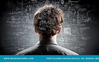 Neuronavarra Peritaciones Manuel Murie - Proceso de inimputabilidad penal